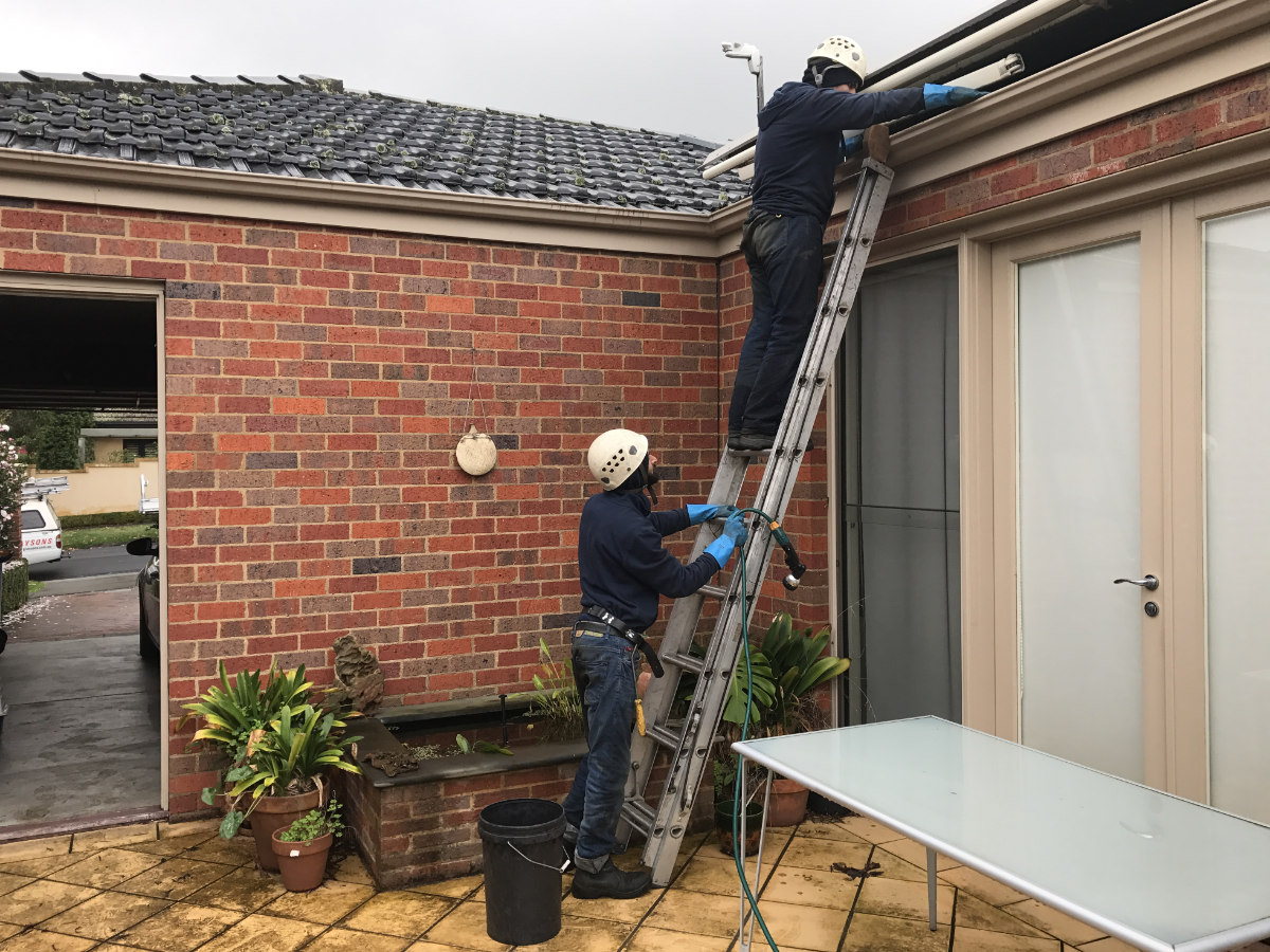 McDonald Silver from Grayson's Gutter Guard Wallan
